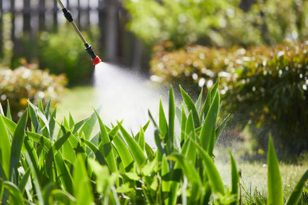 24/7 Emergency Mosquito Control experts in Albany, MN